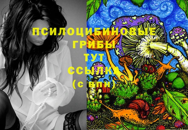спиды Дмитриев