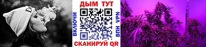 Конопля AK-47  Купить  Семёнов 